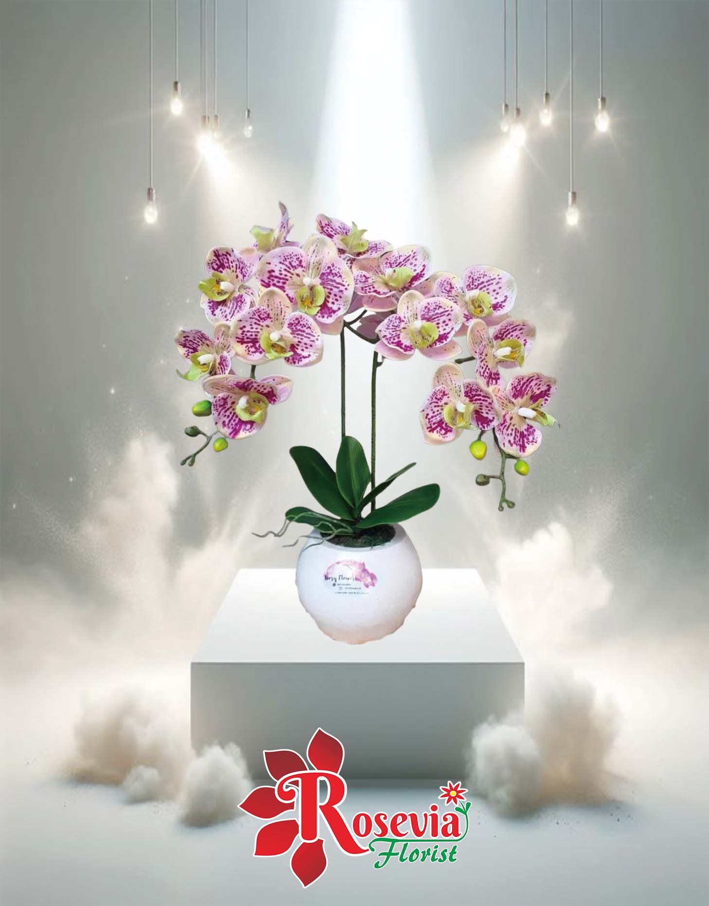 Mengenal Makna di Balik Setiap Warna Mawar: Simbol, Arti, dan Waktu Terbaik Memberikannya