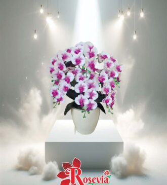 Bunga Meja Duka cita – Rosevia Palangkaraya