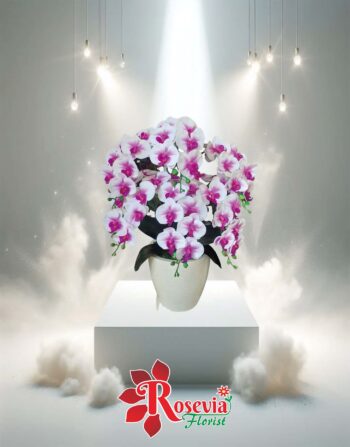 Bunga Meja Duka cita - Rosevia Palangkaraya