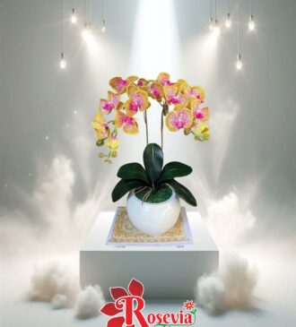 Bunga Meja  Grand Opening- Palangkaraya 02