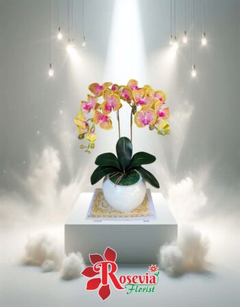 Bunga Meja Dry Rell Hut / Ulang Tahun - Palangkaraya